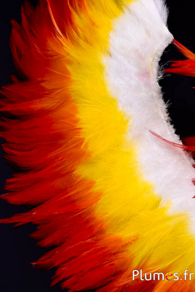 Frange coq - long. plumes 10-15 cm - blanc-jaune-rouge
